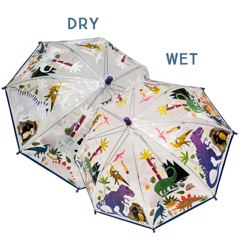 Transparent Colour changing umbrellas- dinosaur