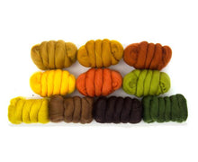 Load image into Gallery viewer, Autumn Leafs selection pack - Needle Felting Merino Wool