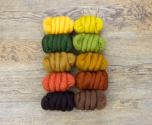 Load image into Gallery viewer, Autumn Leafs selection pack - Needle Felting Merino Wool