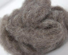 Load image into Gallery viewer, Carded animal coloured  wool for felting