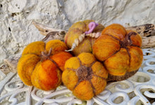 Load image into Gallery viewer, Autumn Needle Felted Pumpkin kit